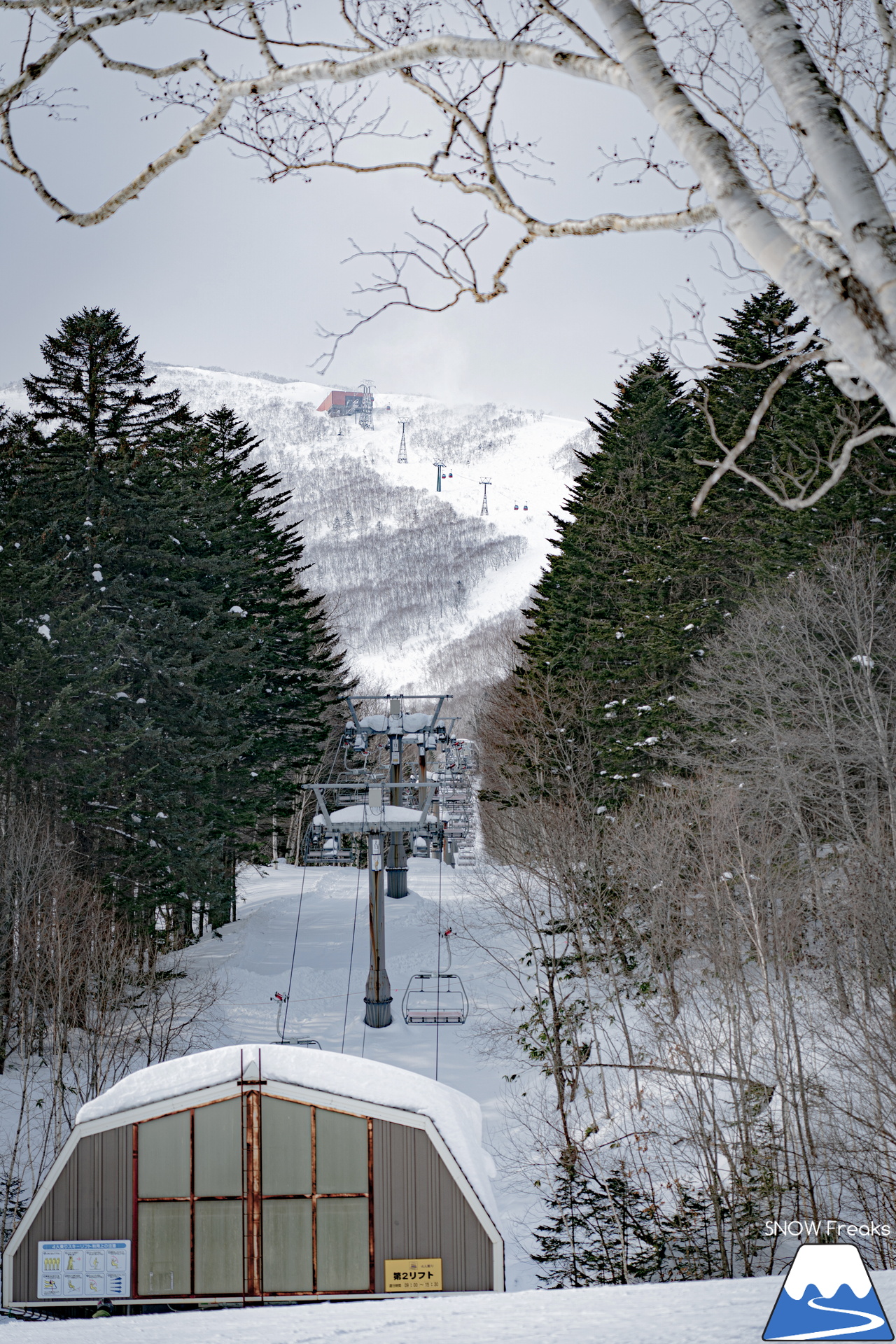 十勝サホロリゾート｜あの記録的な大雪から１週間…。ゲレンデのコンディションは、この上ないほど良好です(^^)v